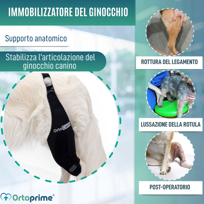 Immobilizzatore per Ginocchio per Cani in Neoprene | 9 Taglie