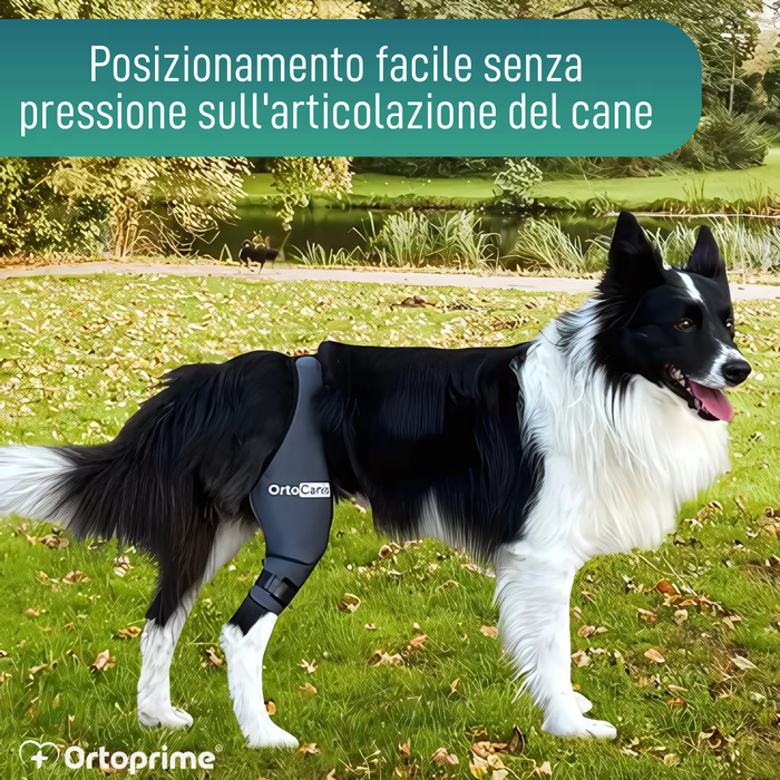 Immobilizzatore per Ginocchio per Cani in Neoprene | 9 Taglie