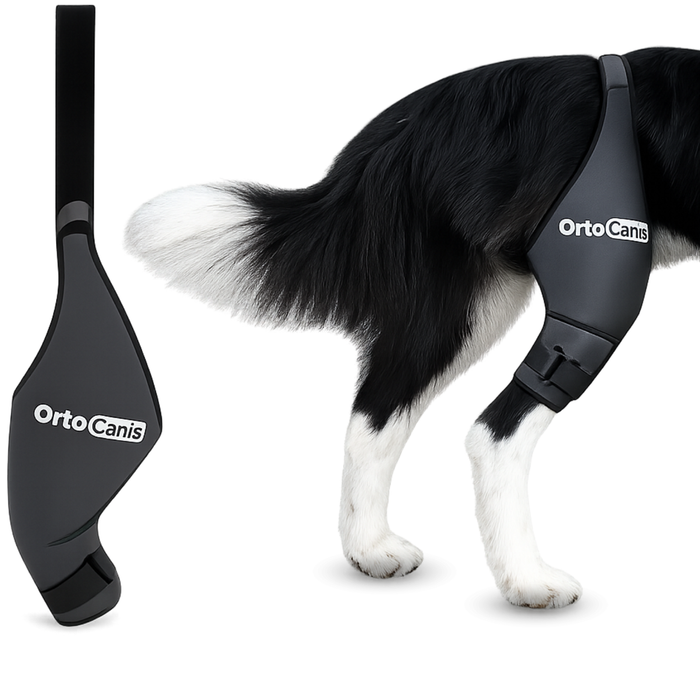 Immobilizzatore per Ginocchio per Cani in Neoprene | 9 Taglie