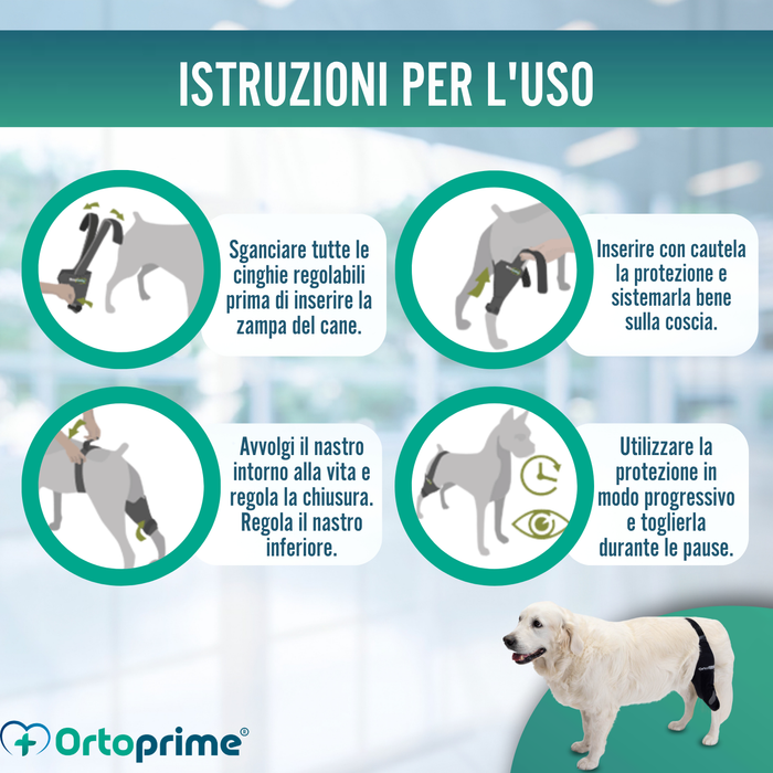 Immobilizzatore per Ginocchio per Cani in Neoprene | 9 Taglie