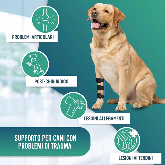 Stecca per Carpo per Cane | Supporto Canino in 5 Misure
