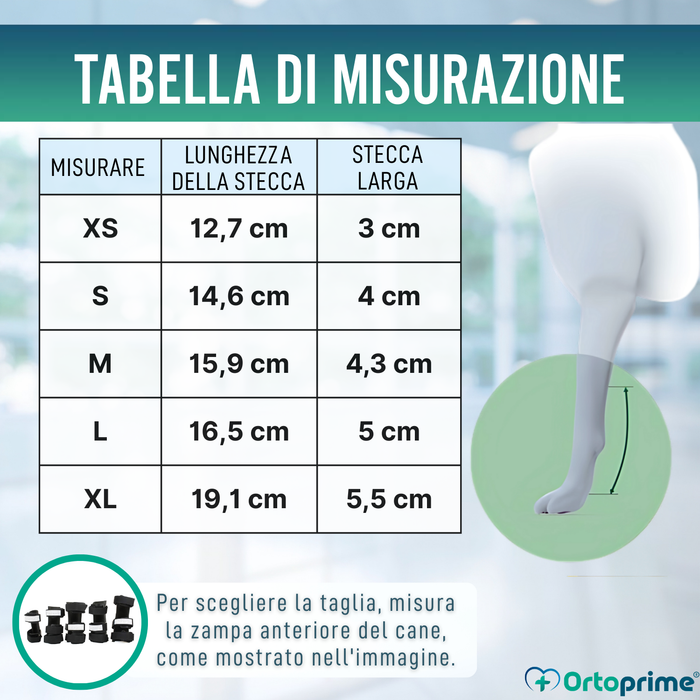 Stecca per Carpo per Cane | Supporto Canino in 5 Misure