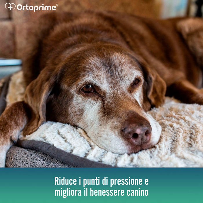 Materasso Visco per Cani con Fodera Impermeabile| 4 Misure