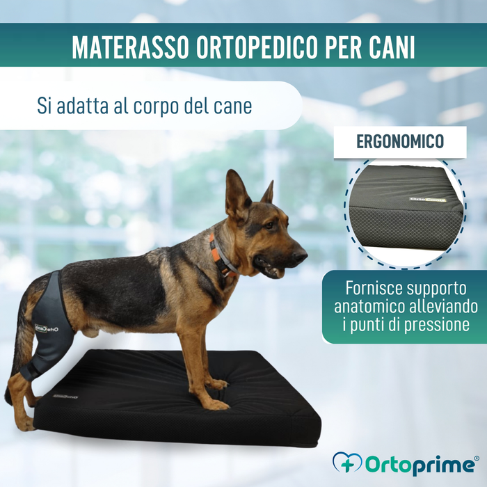 Materasso Visco per Cani con Fodera Impermeabile| 4 Misure