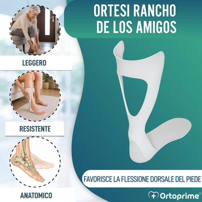 Plantare Completo Ranch degli Amici | Termoformabile