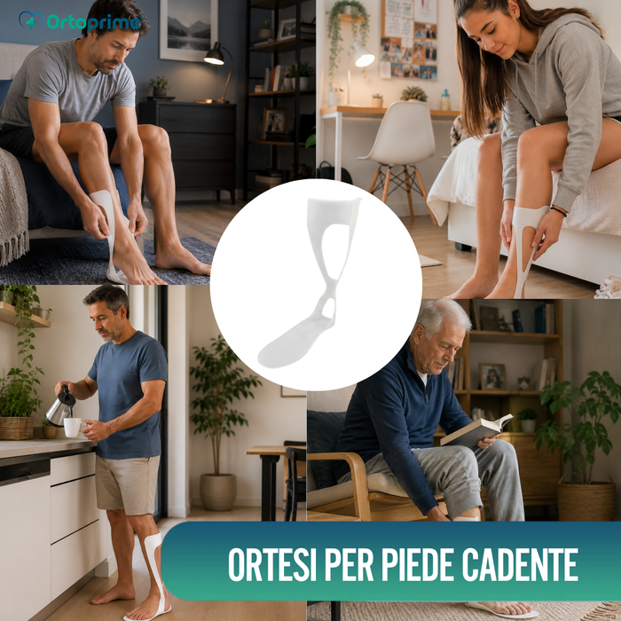 Plantare Completo Ranch degli Amici | Termoformabile