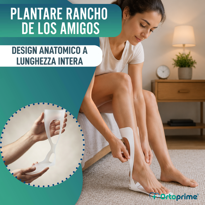 Plantare Completo Ranch degli Amici | Termoformabile