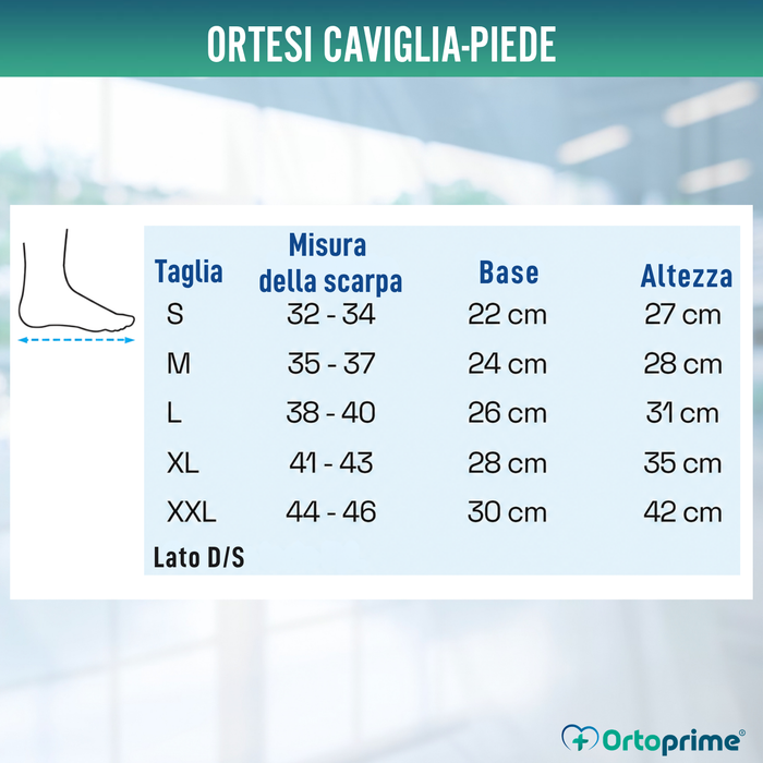 Plantare Completo Ranch degli Amici | Termoformabile