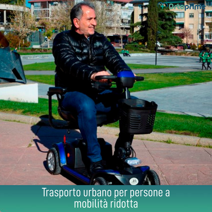 Scooter Elettrico Compatto e Smontabile | 4 Ruote