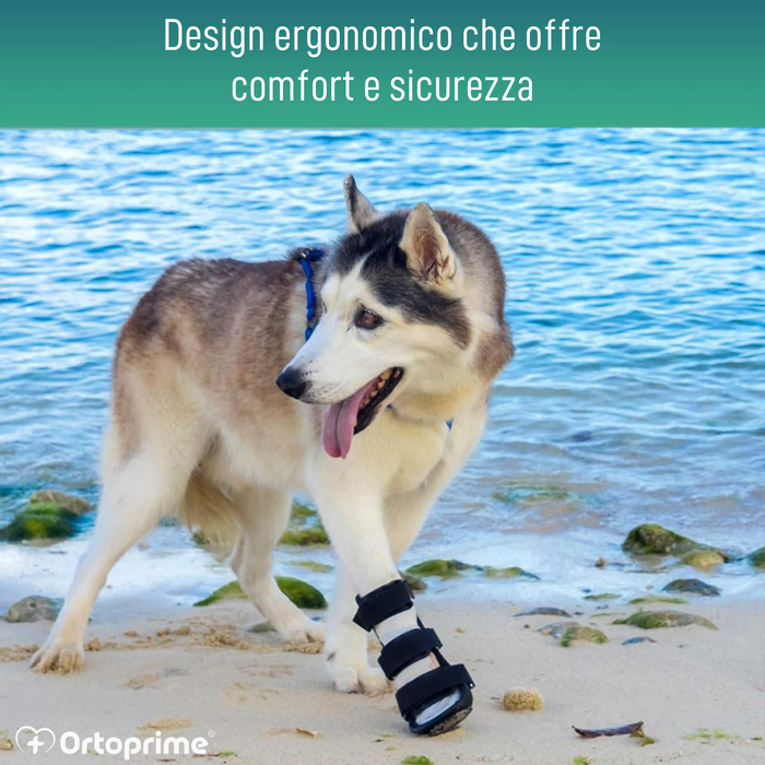 Splint canino per zampa anteriore in polipropilene | 6 taglie