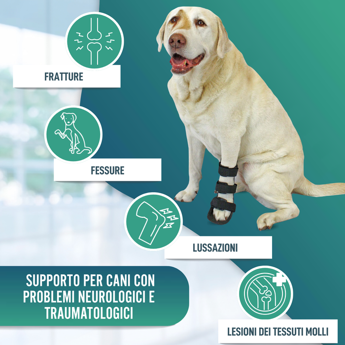Splint canino per zampa anteriore in polipropilene | 6 taglie
