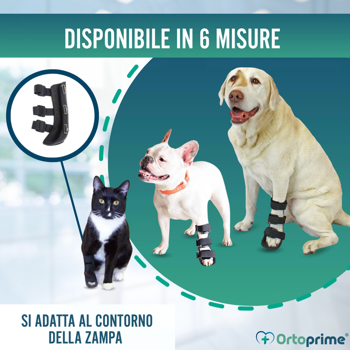 Splint canino per zampa anteriore in polipropilene | 6 taglie