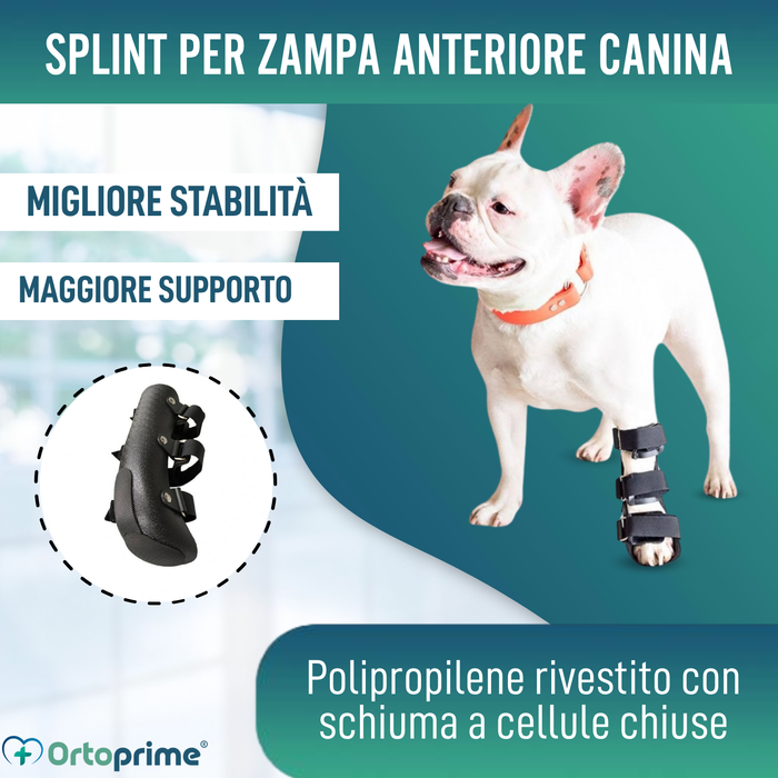 Splint canino per zampa anteriore in polipropilene | 6 taglie