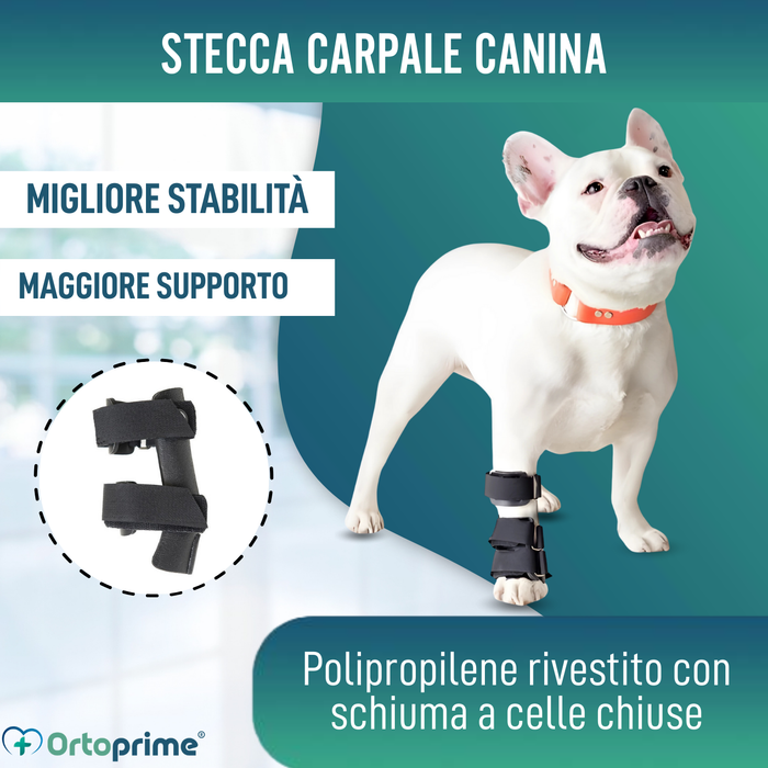 Stecca per Carpo per Cane | Supporto Canino in 5 Misure