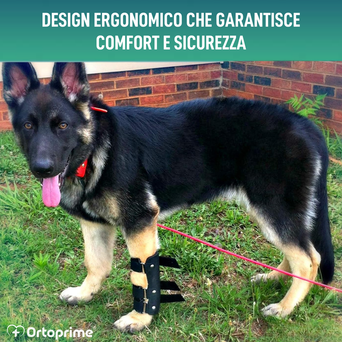 Stecca per Carpo per Cane | Supporto Canino in 5 Misure