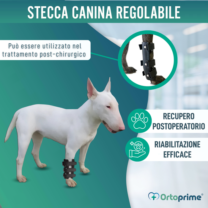 Stecca per Carpo per Cane | Supporto Canino in 5 Misure
