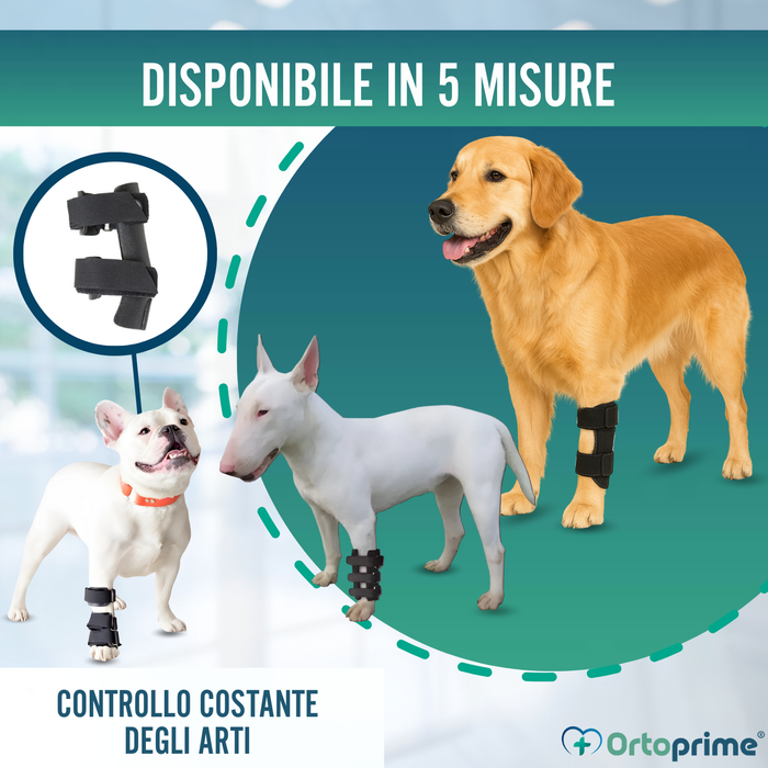 Stecca per Carpo per Cane | Supporto Canino in 5 Misure