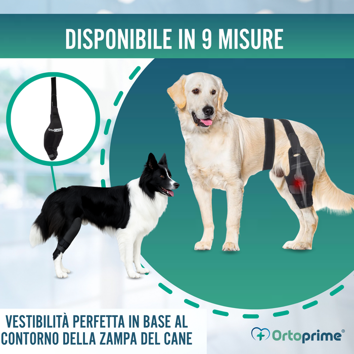 Immobilizzatore per Ginocchio per Cani in Neoprene | 9 Taglie