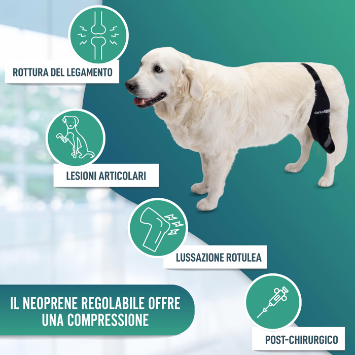 Immobilizzatore per Ginocchio per Cani in Neoprene | 9 Taglie