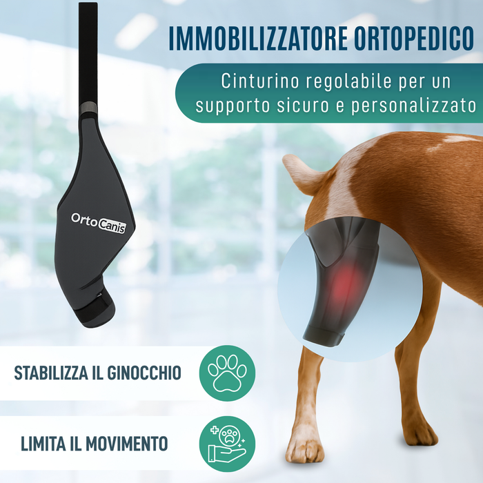 Immobilizzatore per Ginocchio per Cani in Neoprene | 9 Taglie
