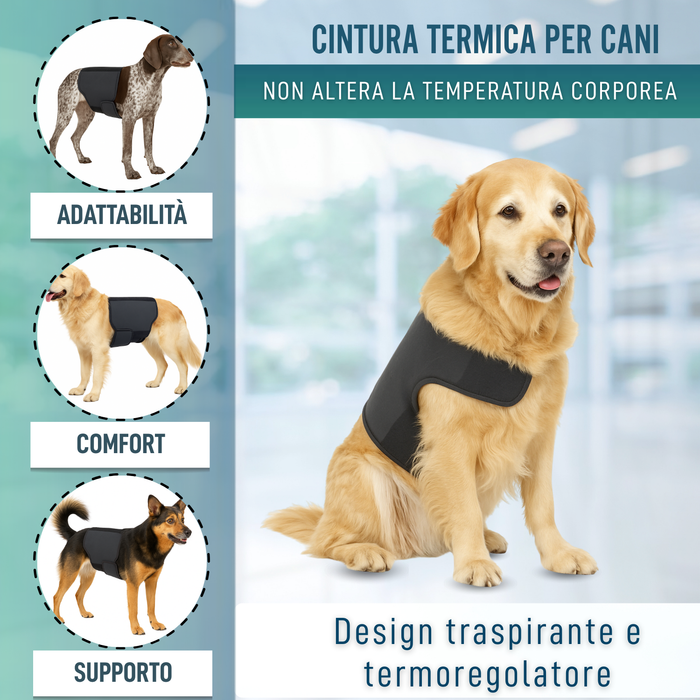 Supporto Termico Canino Back on Track | Fascia per schiena
