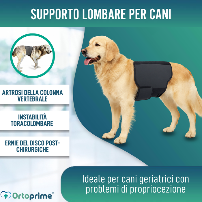 Supporto Termico Canino Back on Track | Fascia per schiena