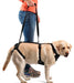arnes-de-perro-para-soporte-cuerpo-entero-ortoprime